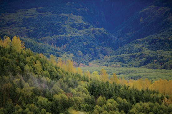 On many public lands, years of fire suppression combined with a ‘hands off’ approach to management has created overly dense forests with a heightened risk of wildfire—and the resulting massive CO2 emissions. Active forest management, which includes thinning these forests to reduce the severity of fire when it occurs, protects values such as habitat and recreation while helping to ensure that forests store more carbon than they release.