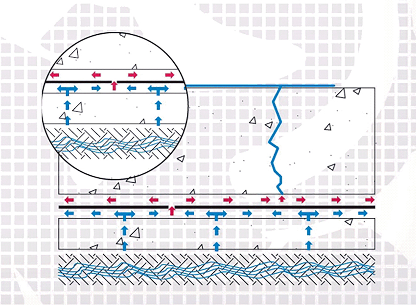 diagram of capillary action