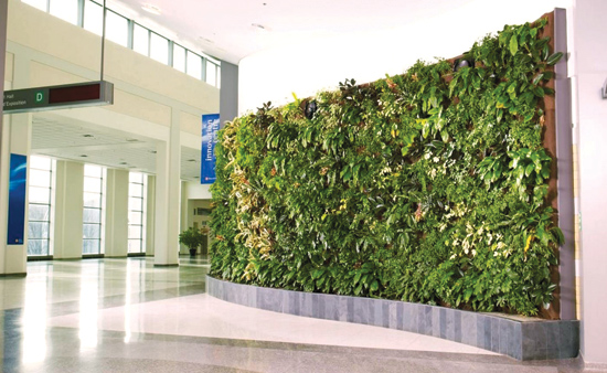 Ce Center Hydroponic Living Plant Walls - Living Plant Wall Revit