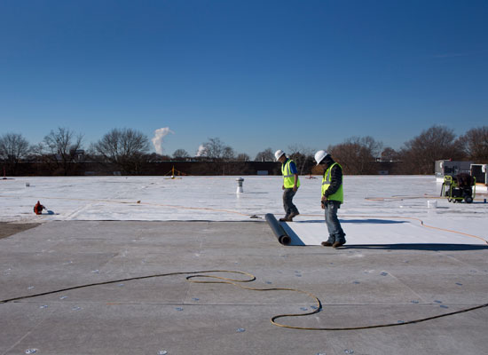Workers roll out the white roof membrane prior to attaching it to the roof system over the cover board.