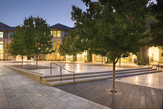 This plaza at the Haas School of Business at the University of California Berkeley used an innovative paver suspension system to allow room for shade trees to grow while preserving the open space.
