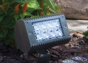 Innovative LED lighting can be placed in landscape areas to highlight and enhance plants and trees. 