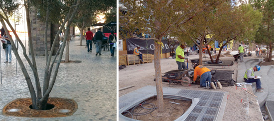 NYC landscape architecture firm !melk incorporated water features, sequenced LED lighting, and mature trees planted in custom paver suspension systems—which provide plenty of room for the trees—into the linear park on the Las Vegas Strip.