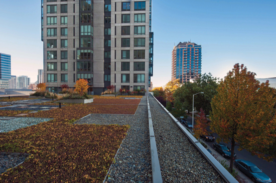 The green roof at Horizon House Retirement Community
