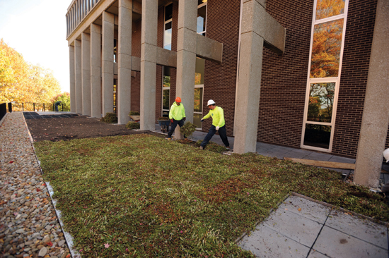 The green roof at Taylor Hall, Kent State University
