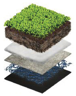 Detail showing a green roof multi-layer assembly