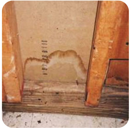 Moisture that condenses in framed wall assemblies or leaks in from the outside is the leading cause of material damage and, if conditions are right, can promote the growth of mold.