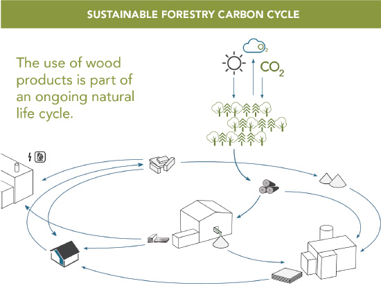 Evaluating the Carbon Footprint of Wood Buildings