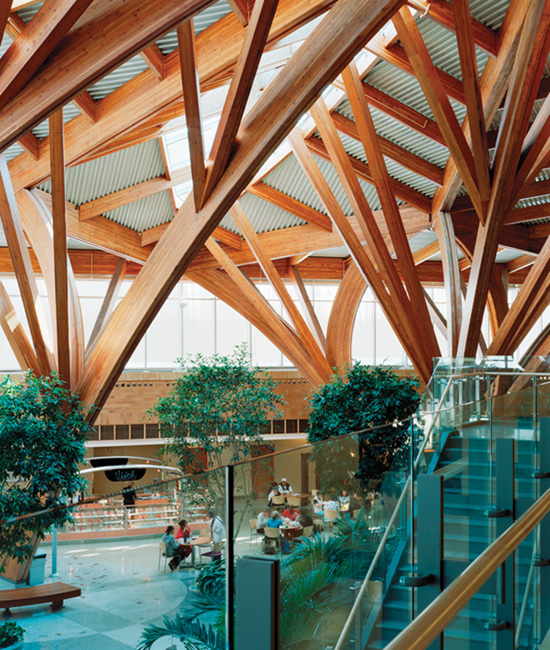 Credit Valley Hospital in Mississauga, Ontario, is one of an increasing number of healthcare facilities making use of exposed wood to create a warm, natural aesthetic that supports their healing objectives.