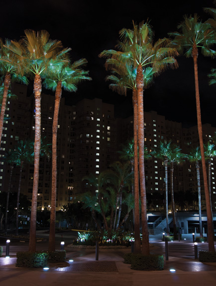 In-grade flood lighting at Long Beach Convention Center, California