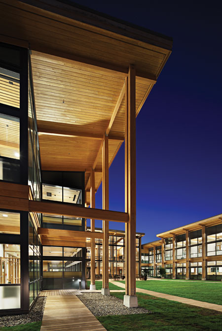 Modern Building Codes: Keeping Pace with the Wood Revolution