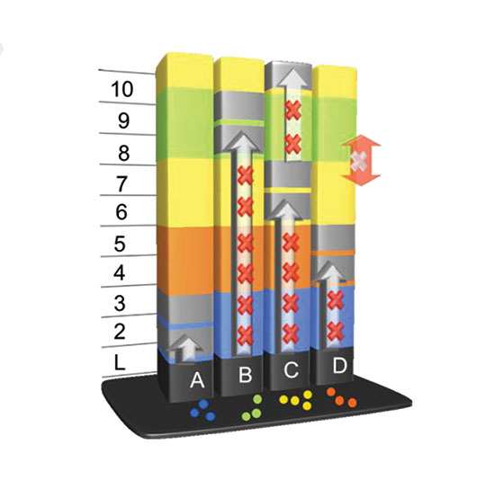 Passengers going to two different segments of restricted floors will not be placed in the same car.