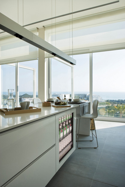 European or frameless integration creates a sleek look in the kitchen.