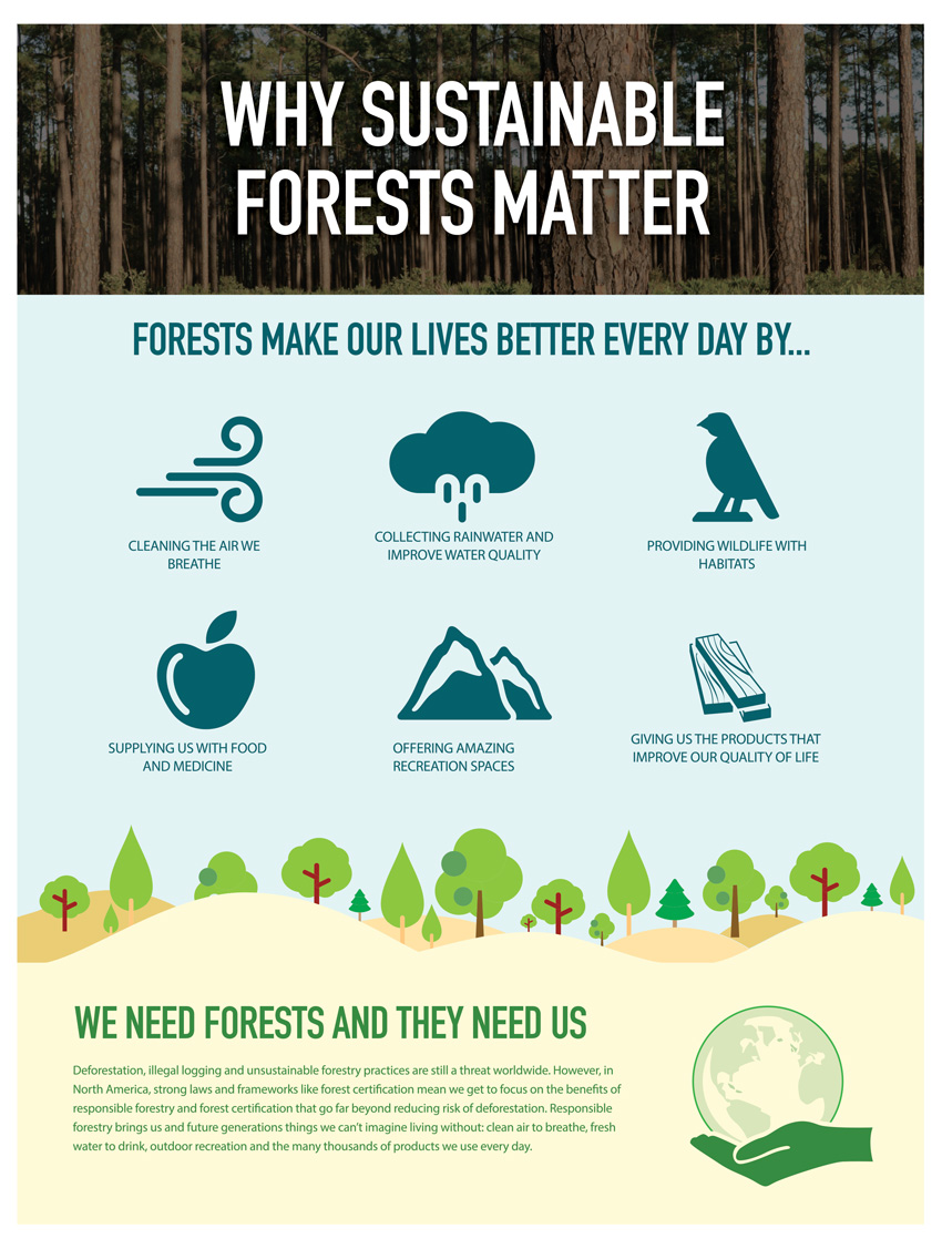 Poster with listings for why sustainable forests matter.