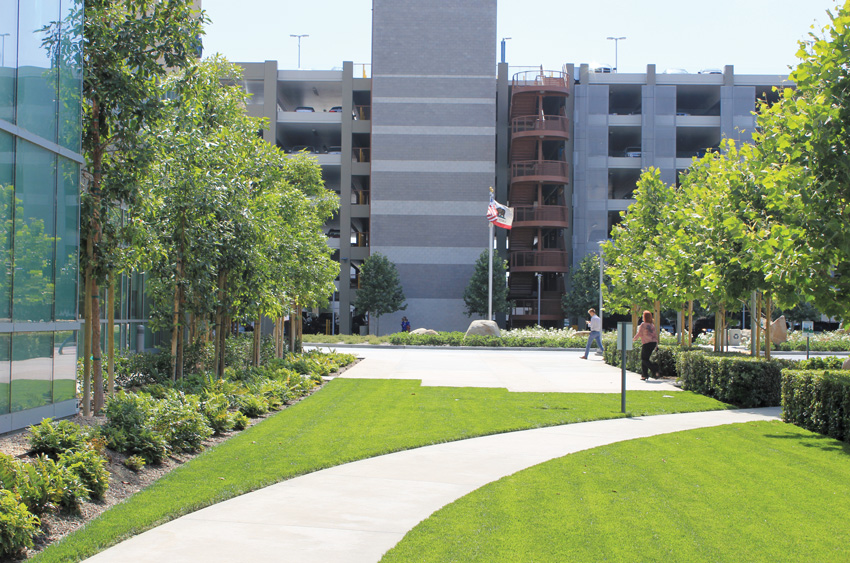 Photo of the landscaping at Kaiser Permanente Hospital.