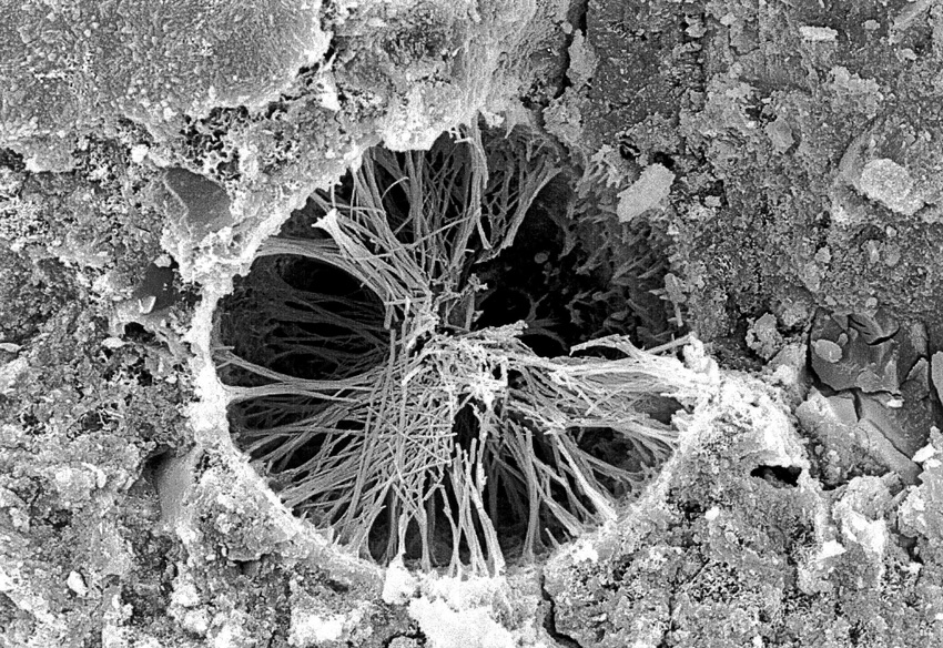 A scanning electron microscope image of crystalline formation in a concrete pore.