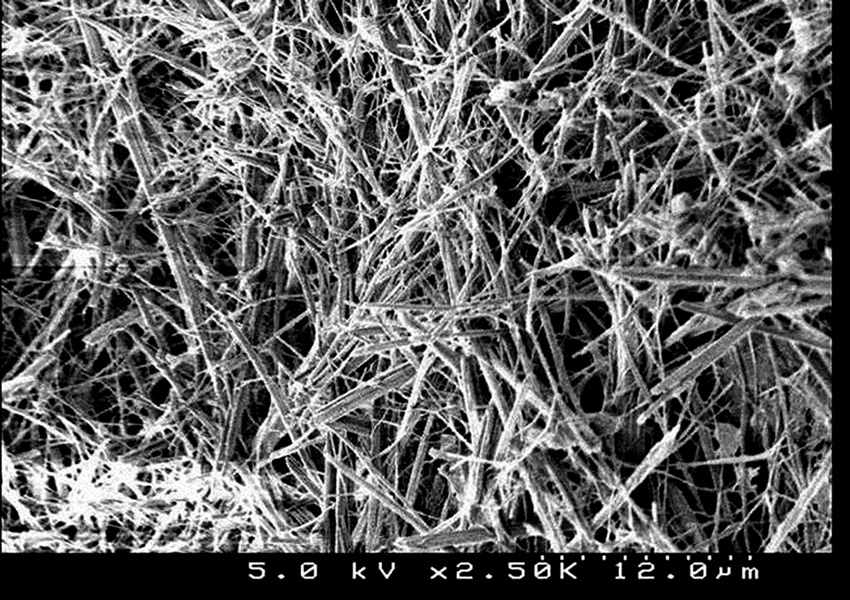 Scanning electron microscope image of newly formed crystalline structures.