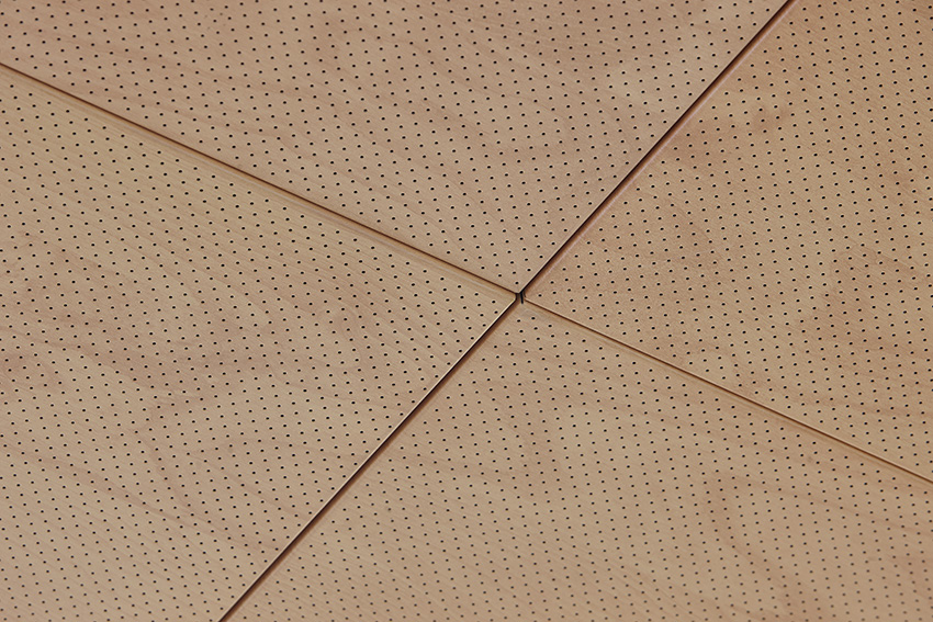 Ceiling of the lobby of John Michael Flaherty Building in Ottawa.