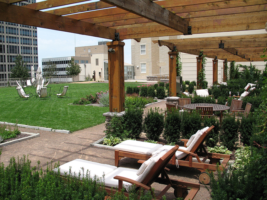 Photo of a vegetated roof.