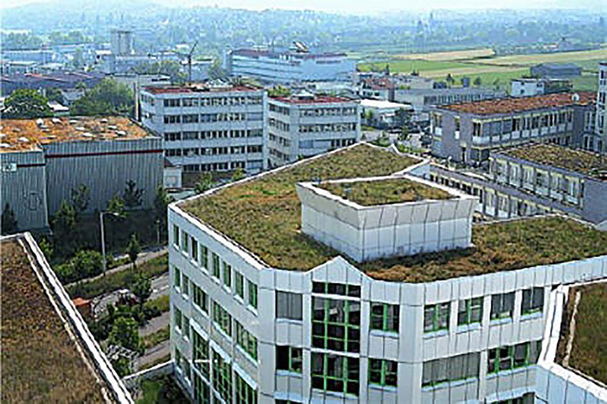 Photo of a green roof in Stuttgart.