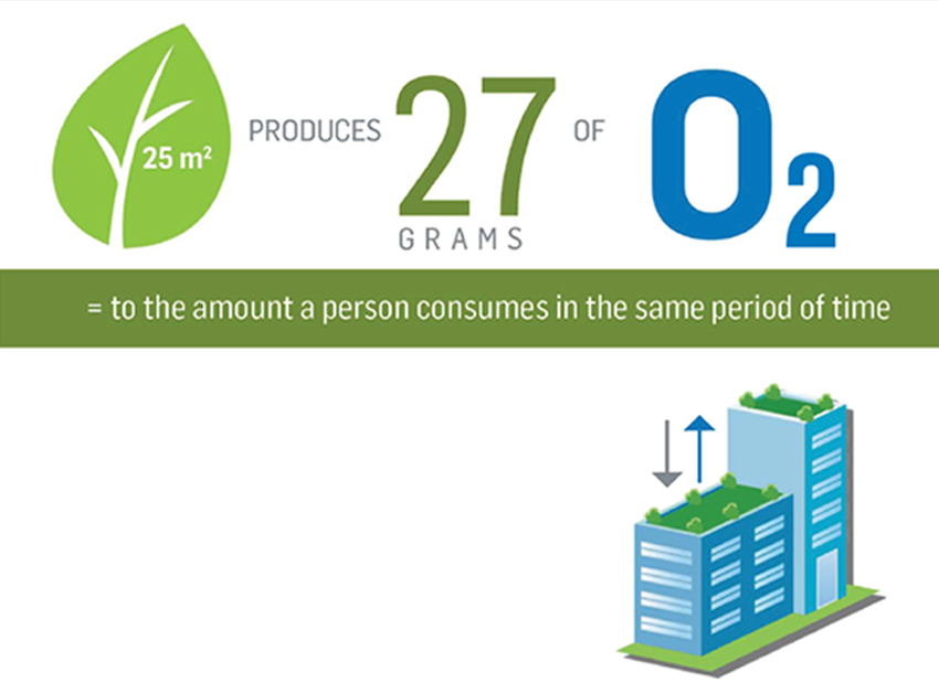 Graphic depicting the production of oxygen from a green roof.
