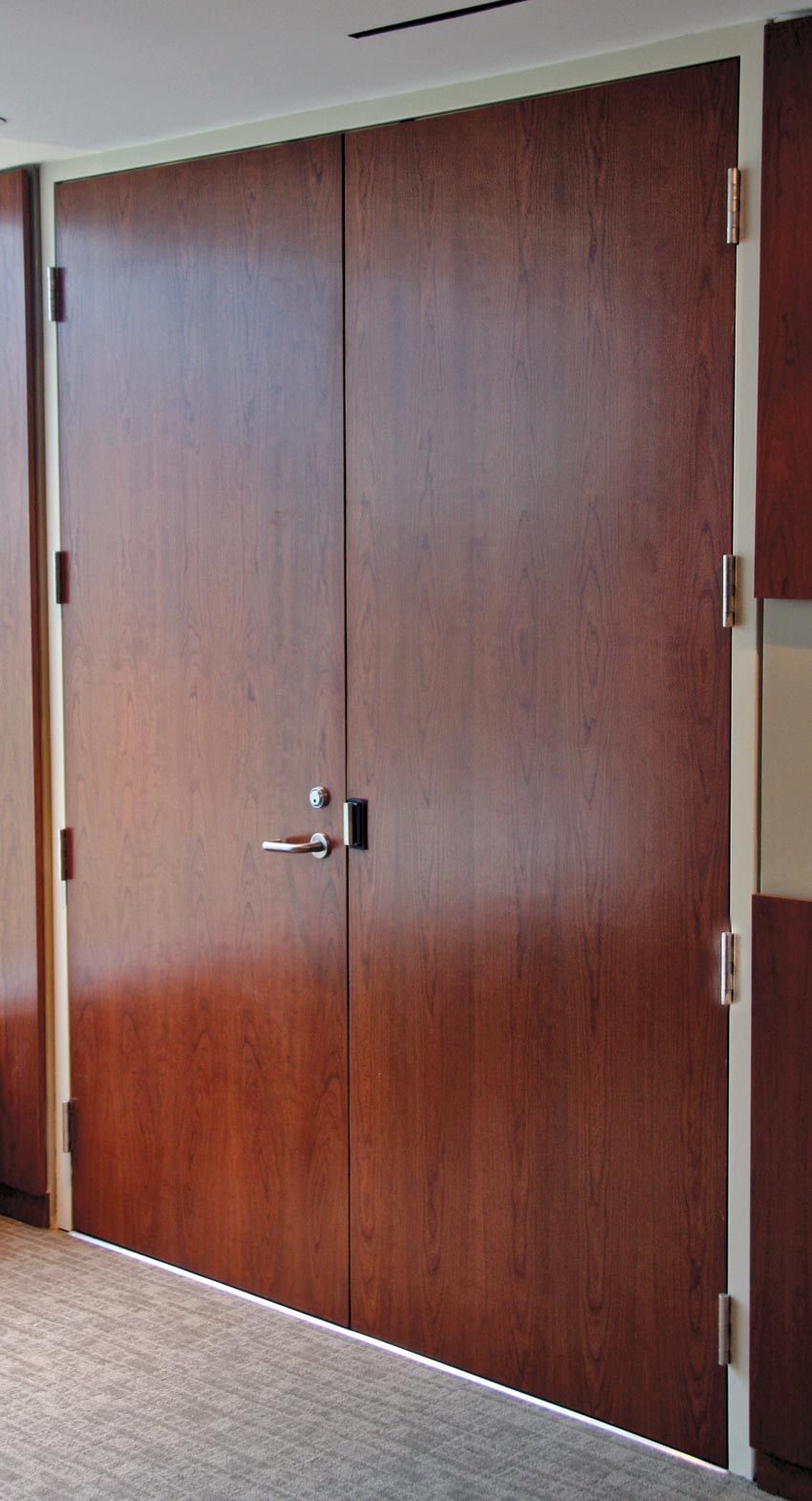 Photo of an acoustic wood door.