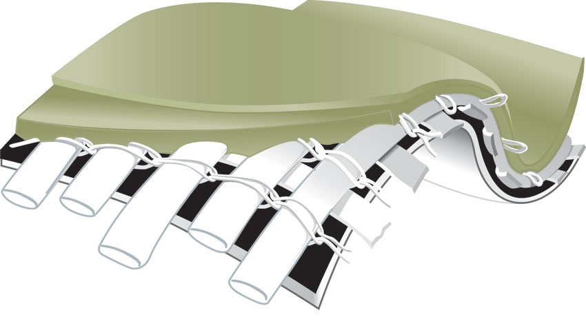 Illustration of a green membrane.