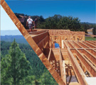 Engineered Wood Products (EWP) Basics:  Strong, Safe, and Green