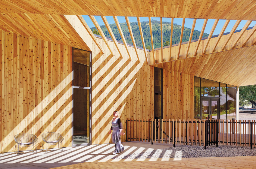 Photo of Western red cedar with natural beauty and a lady in a striped dress.