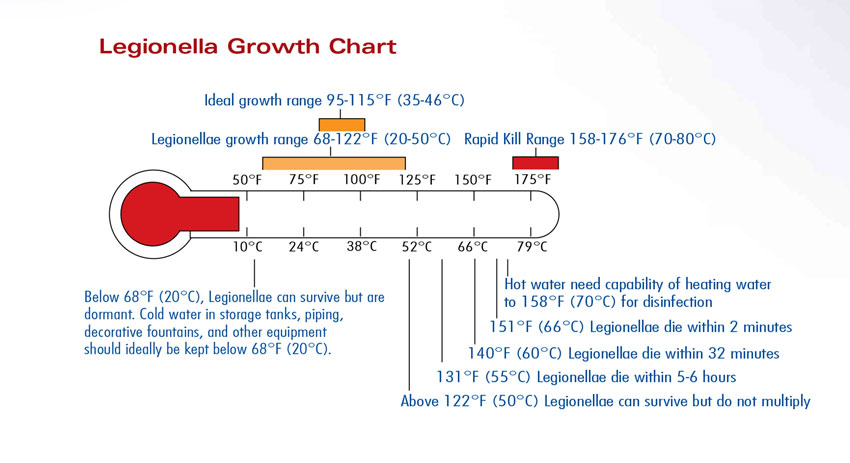 Legionella bacteria