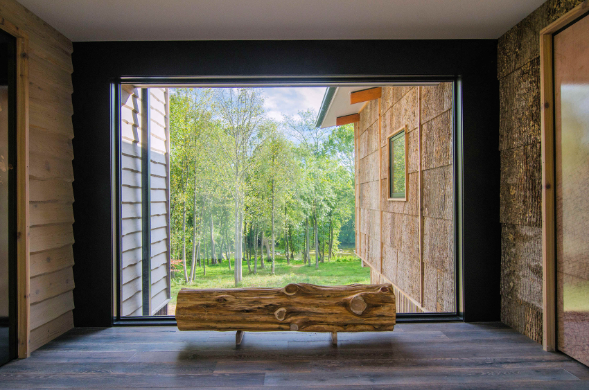 Image of a Home with a window showing trees.