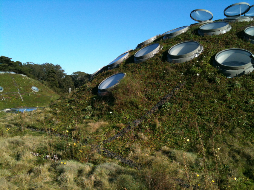 Picture of green roof atop the California Academy of Sciences in San Francisco, Calif.