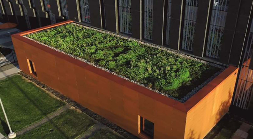 green roofs