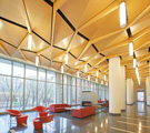 New Acoustical Options in Specialty and Seamless Ceiling Systems