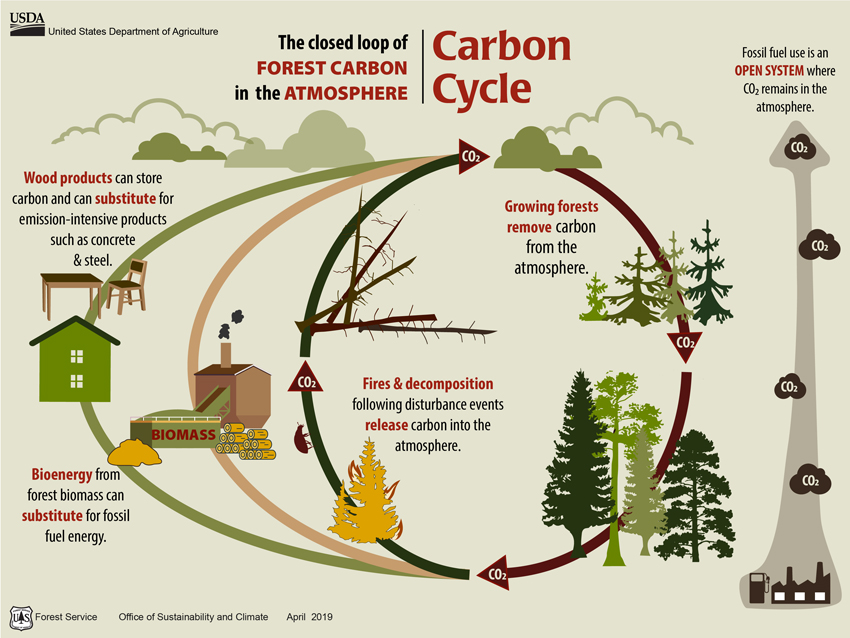 CE Center - How to Calculate the Wood Carbon Footprint of a Building