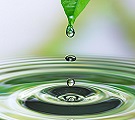 Processor Strategies for Sustainable Water Management