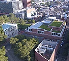 Green Roofs: Integrating Blue and Gray into Green