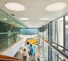 Acoustic and Aesthetic Suspended Ceiling Solutions Using Stone Wool