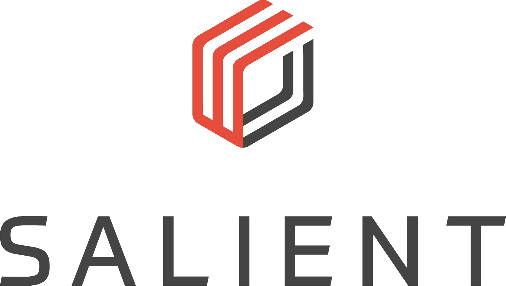 Salient Systems Logo